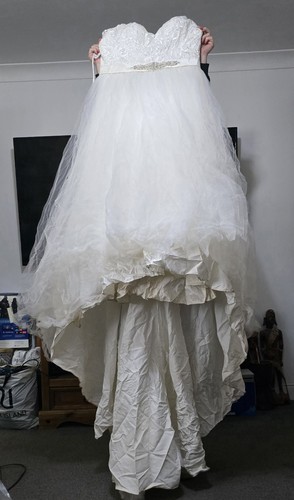 Symphony venus wedding - venus,