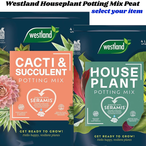 Westland houseplant potting - houseplant,