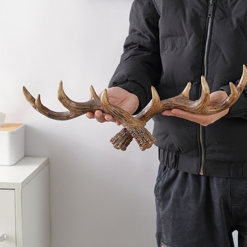 Vintage deer antlers wall - vintage,