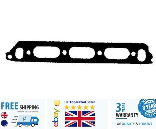 Intake exhaust manifold gasket - exhaust,