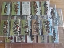 Carreras Turf cigarette cards