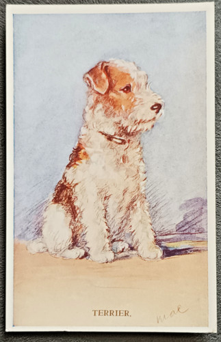 Lucy dawson mac terrier - lucy, -"terrier"