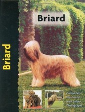 Briard (Pet Love) (Pet Love
