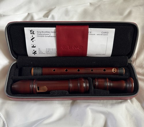 Küng marsyas alto recorder - recorder, in