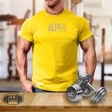 Alpha T Shirt Gym Clothing