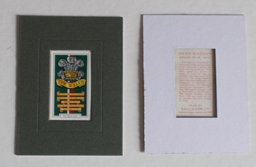 Cigarette card gallaher - cigarette,