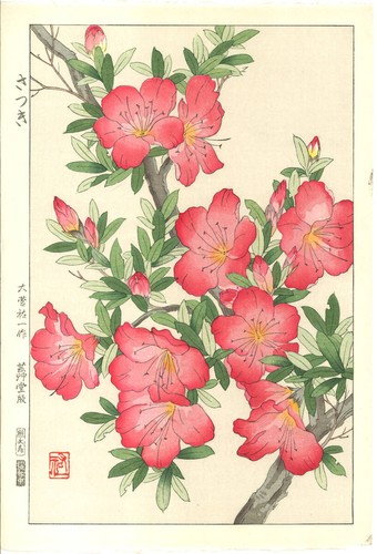 Yuichi osuga japanese - yuichi,