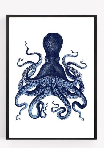 Octopus nautical picture - nautical,