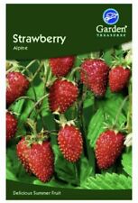 Garden Treasures Fresh Herbs Vegetable Fruit Seeds Grow Your Own Indoor Outdoor