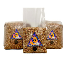 WHOLESALE MUSHROOM SPAWN | Organic Rye Grain Bags (Hydrated & Sterilised)