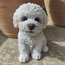 Vivid Arts Bichon Frise Puppy