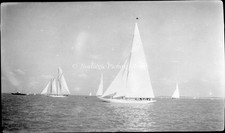 ANTIQUE  LARGE NEGATIVE OF