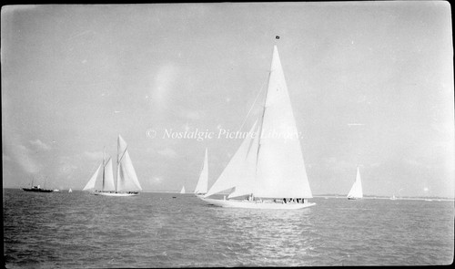 Antique large negative - antique,