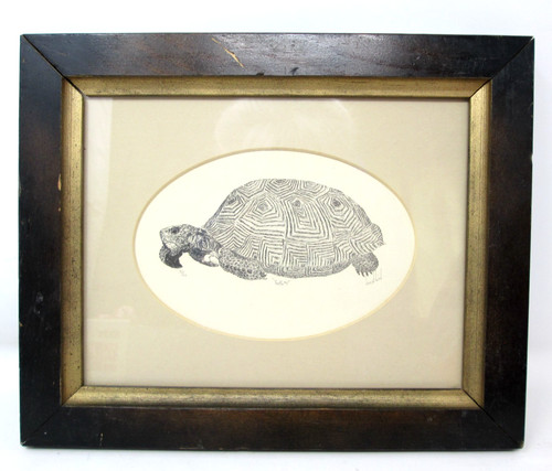 Terrapin turtle art print - terrapin, 3