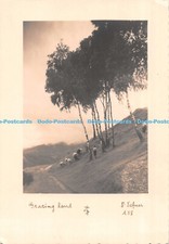D099217 Grazing Land. Dr. A. Defner. RP