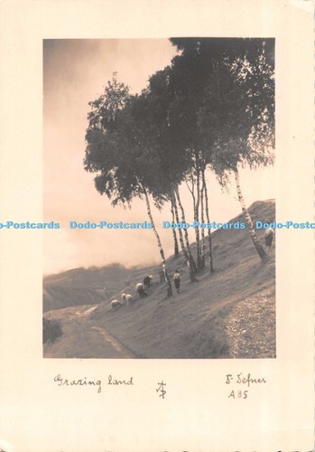 D099217 grazing land a - land., dr.