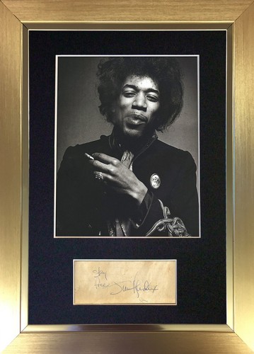 Jimi hendrix mounted - jimi, a4