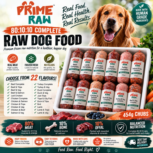 Prime raw dog food frozen - dog,