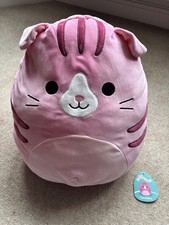 20" Geraldine Cat Squismallow