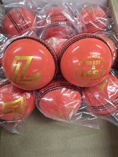 Lorimers Test Grade A T20 Pink Cricket Ball Size Mens 5.5oz - Free P&P