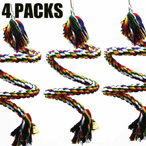 Parrot hanging braided budgie - parrot,