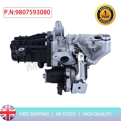 Egr valve module - egr,