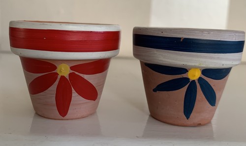 Hand painted terracotta plant - terracotta,