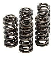 Valve spring set - spring, 01-12