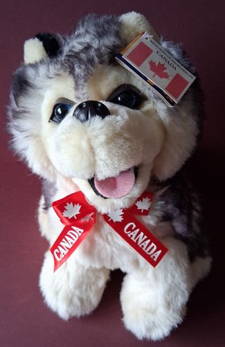 Canada wild wonders sitting - wild,
