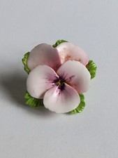 Beautiful Detailed Pink