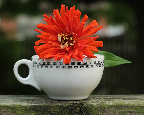 Vtg diner crockery coffee - diner,