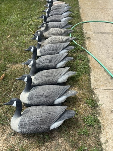 Vtg flambeau canada goose - vtg,