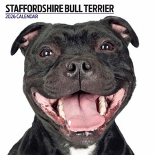 Staffordshire Bull Terrier 2026 Modern Calendar