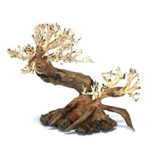 Ancient Pine Bonsai Tree Hand Picked & Hand Carved Aquarium Decor 23 x 17 x 10cm