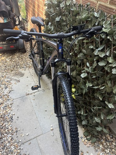 Carrera hellcat 29in mountain - carrera,