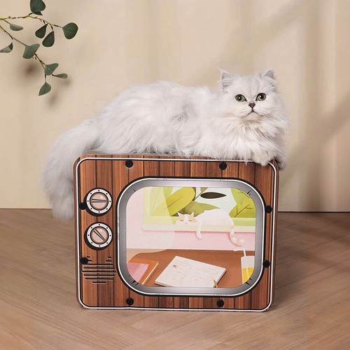 Cat house kitten - cat, 2