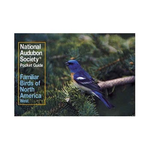 Familiar birds north - birds, of