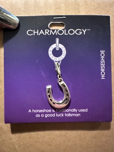 Charmology charm horseshoe - charmology,