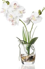 Jusdreen 1 Pcs Glass Vase