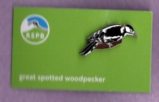 RSPB Pin Badge - Great Spotted Woodpecker - NIIC Green Card