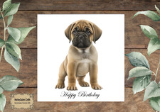 DOG 053  Birthday Card Mastiff