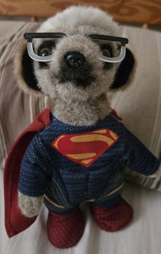 Superman meerkat plush soft - meerkat,