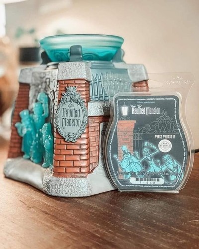 New scentsy wax warmer - warmer,