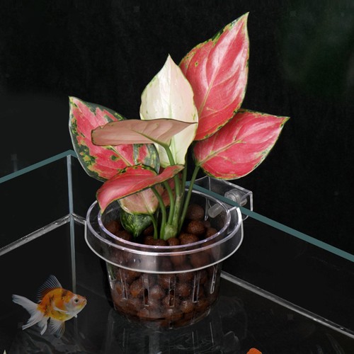 Fish tank aquatic plant holder - aquatic,