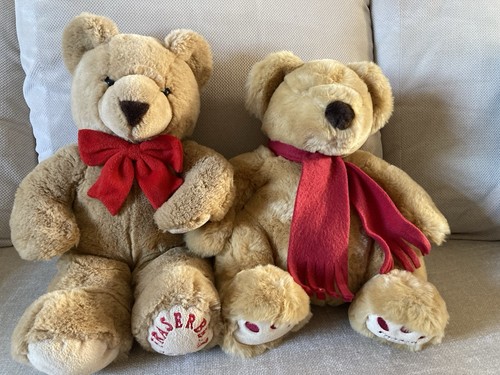 Fraser bear plush bears - bear, lot