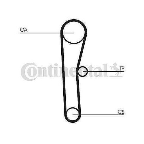 Timing belt continental - timing, ctam