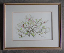 Magnolia Blossoms, Original Botanical Flowers Watercolour Beryl Moore. Worcester
