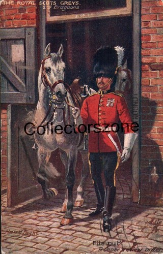 1914 the royal - the, greys