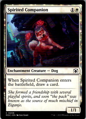 Magic spirited companion - spirited,