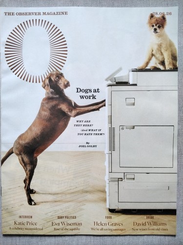 The observer magazine june - the,